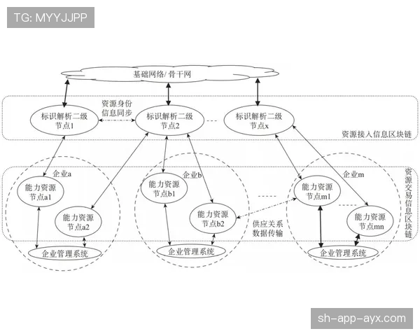 佩德里：半空间组织与串联核心