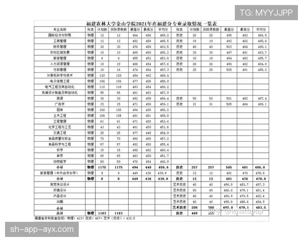 全面解析篮球比赛中进攻犯规的规则定义与具体判罚结果
